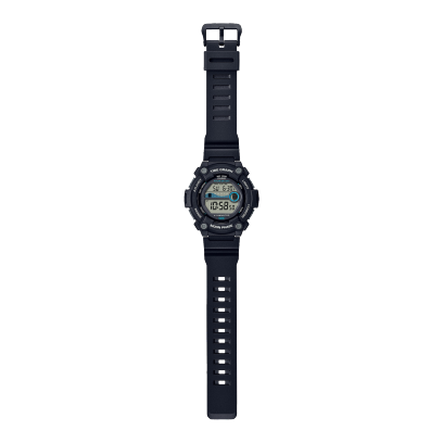 WS1300H-1